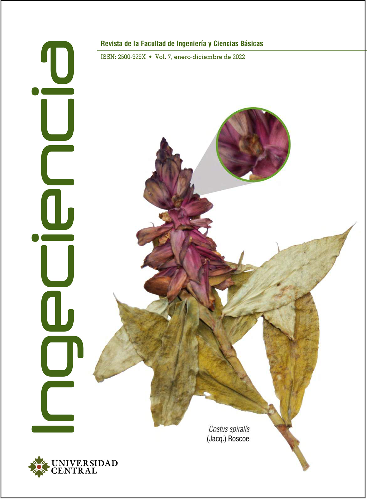 Carátula Ingeciencia 7